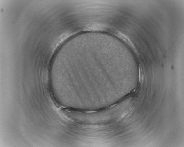 X0000059040204200511041645