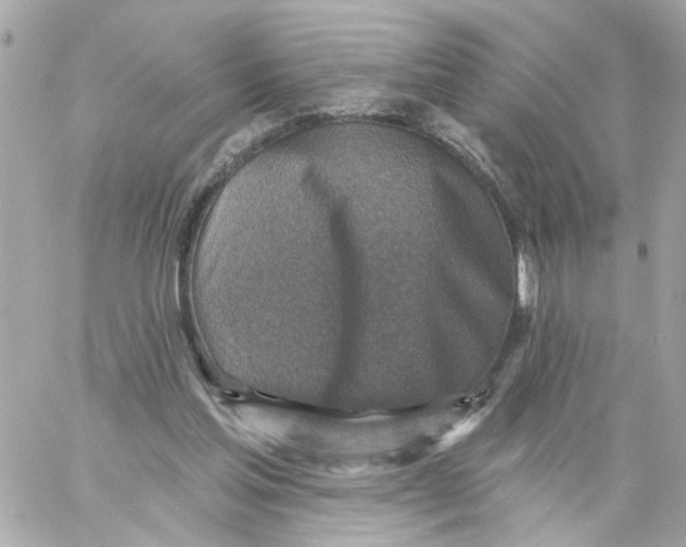 X0000059040205200511041645