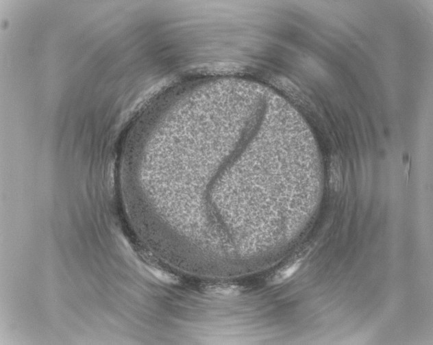 X0000059040206200511041645