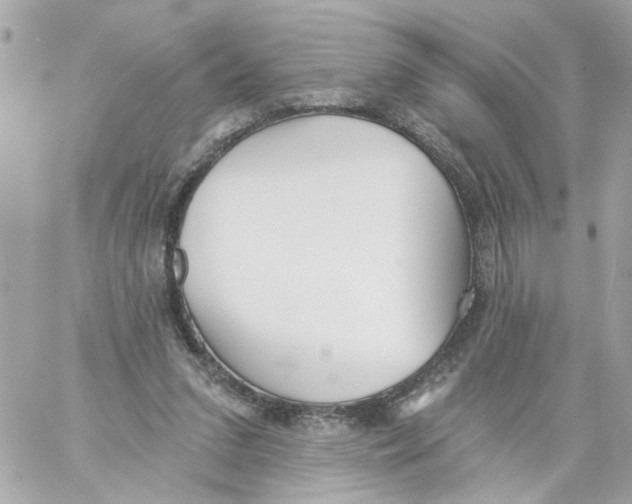 X0000059040207200511041645