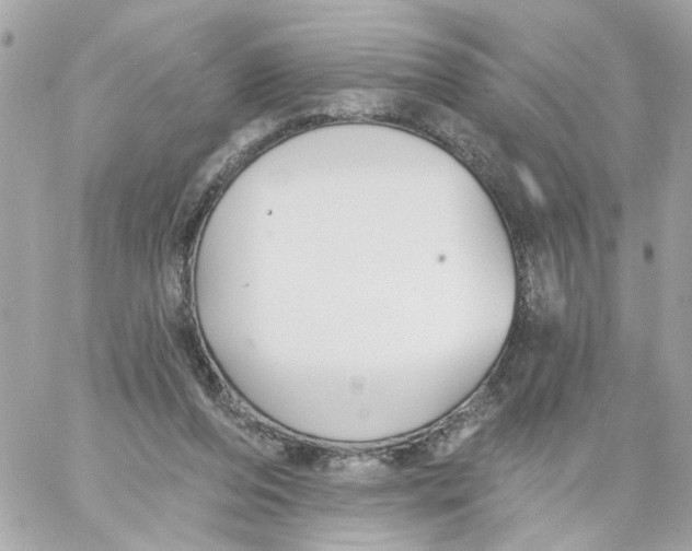 X0000059040208200511041645