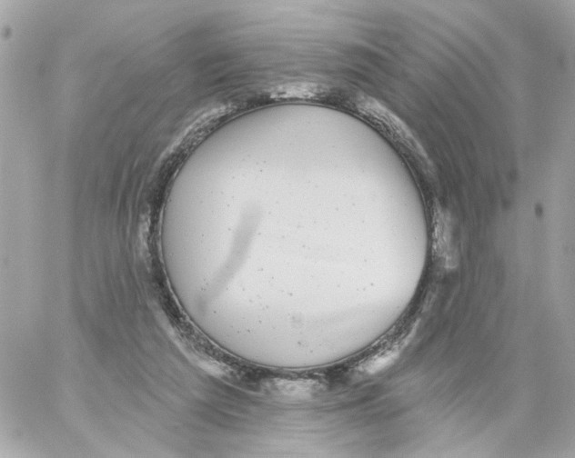 X0000059040209200511041645