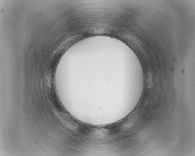 X0000059040210200511041645