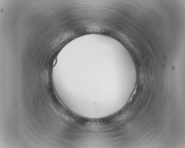 X0000059040211200511041645