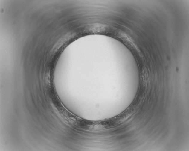 X0000059040212200511041645