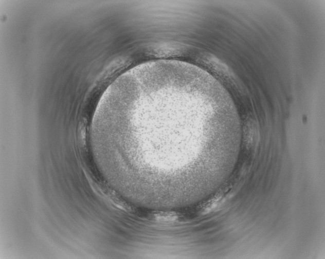 X0000059040214200511041645