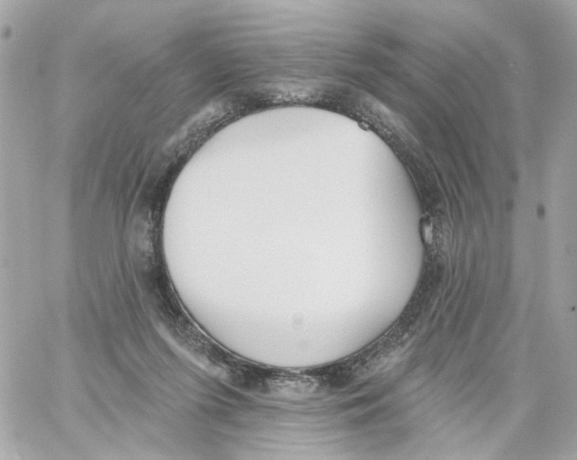 X0000059040215200511041645