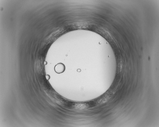 X0000059040218200511041645