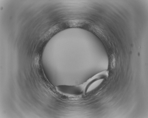 X0000059040219200511041645