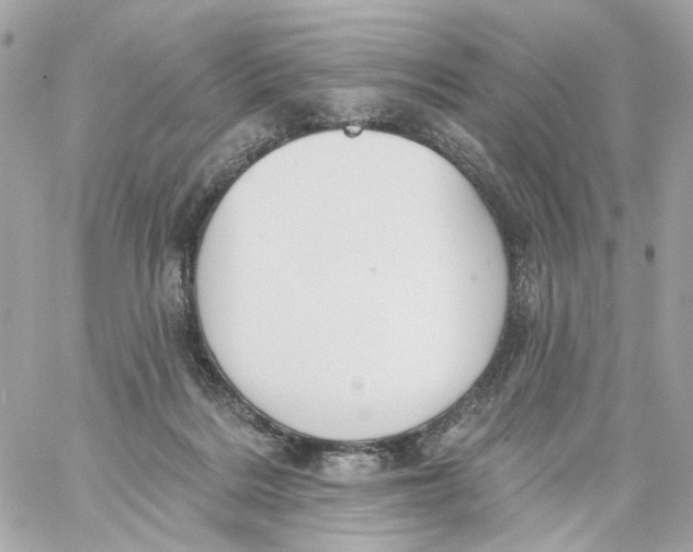 X0000059040220200511041645