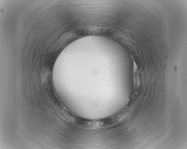 X0000059040225200511041645