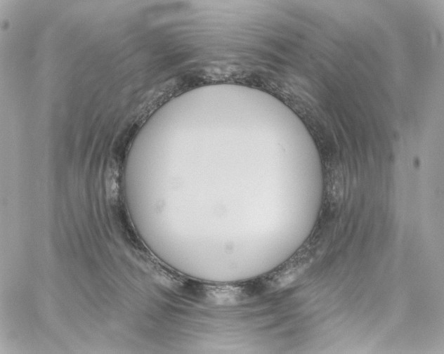 X0000059040226200511041645