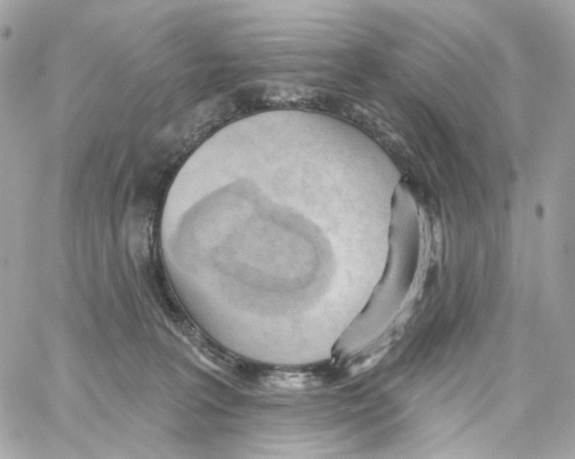 X0000059040227200511041645