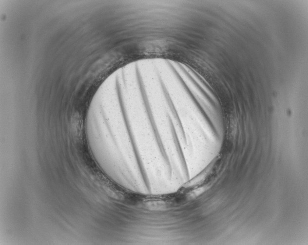 X0000059040228200511041645