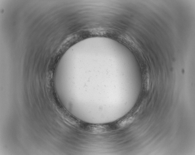 X0000059040229200511041645