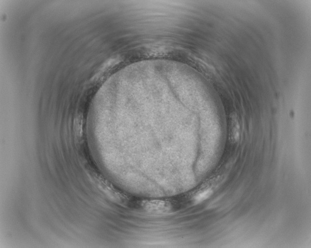 X0000059040230200511041645