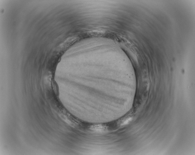 X0000059040231200511041645