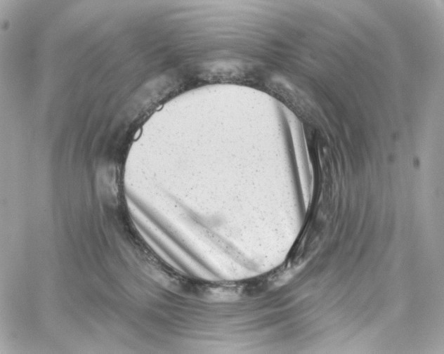 X0000059040232200511041645