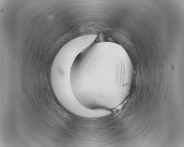 X0000059040233200511041645