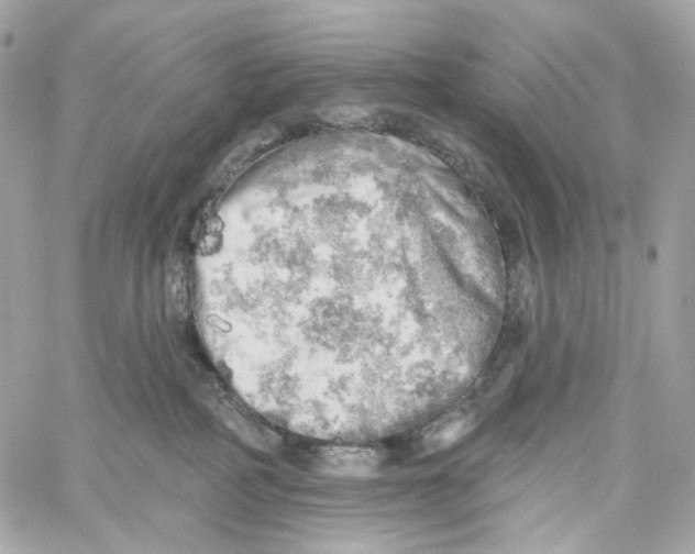 X0000059040234200511041645