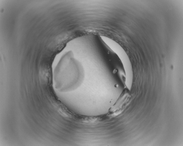 X0000059040235200511041645