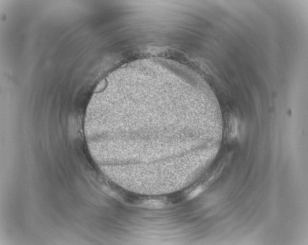 X0000059040236200511041645