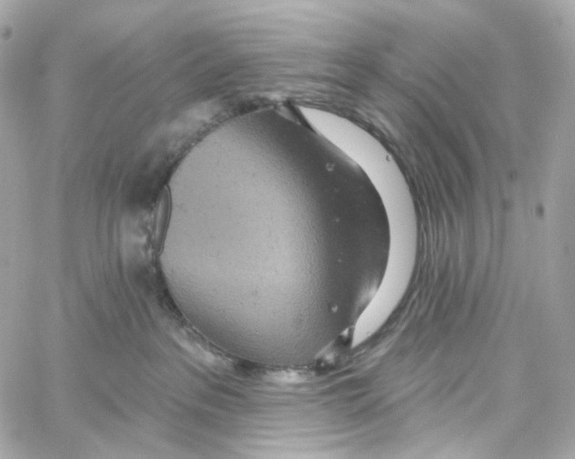 X0000059040237200511041645