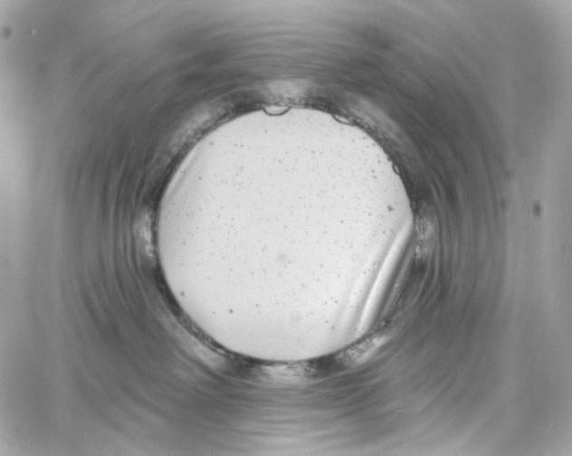 X0000059040238200511041644