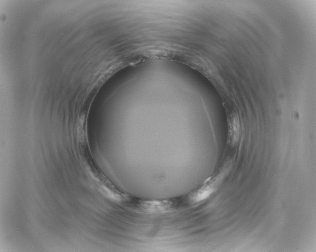 X0000059040239200511041644