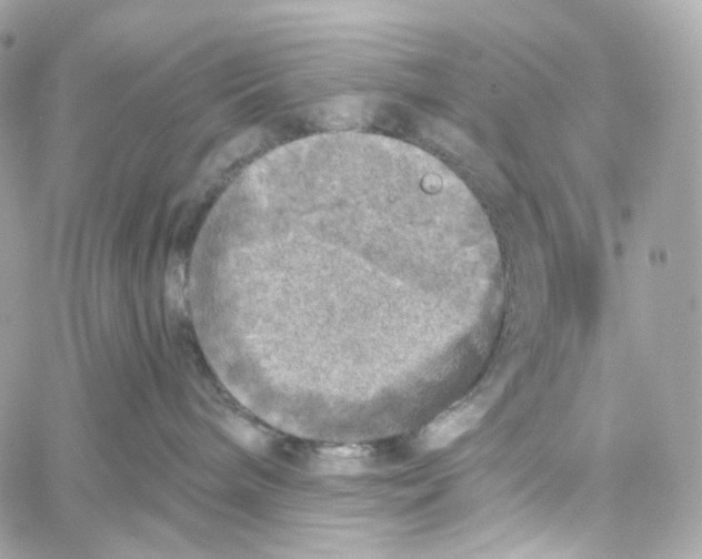 X0000059040240200511041644