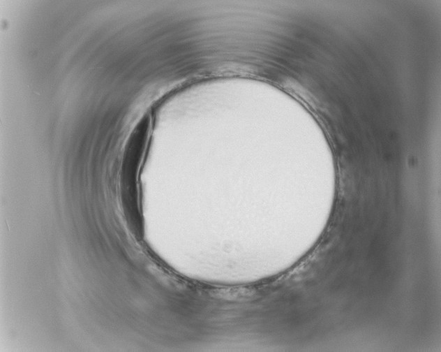 X0000059040241200511041644