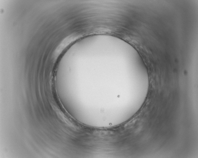 X0000059040242200511041644