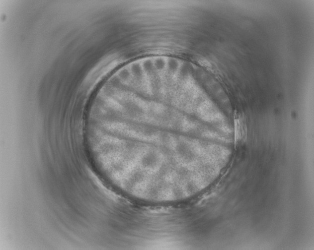 X0000059040243200511041644