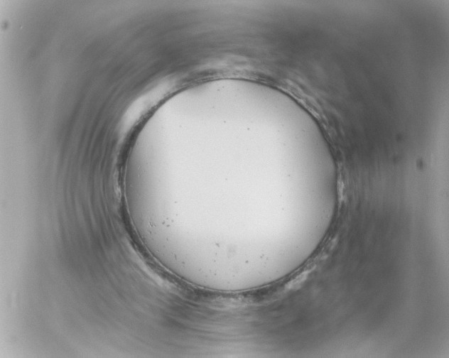 X0000059040245200511041644