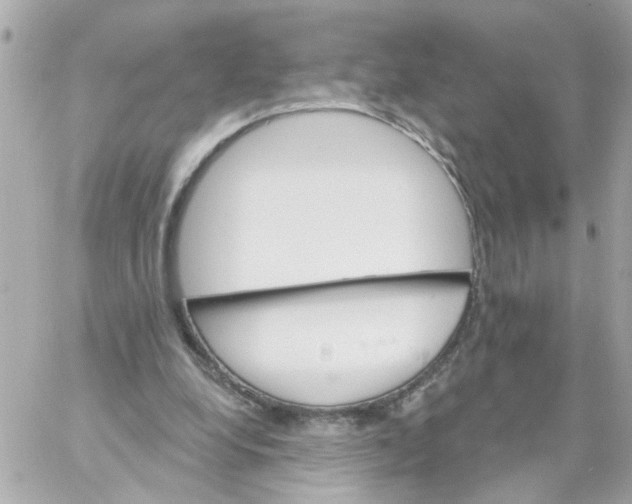 X0000059040248200511041644