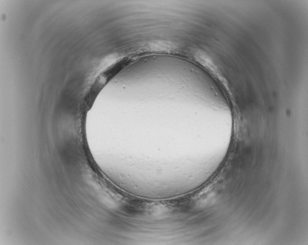 X0000059040249200511041644