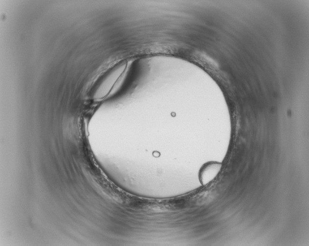 X0000059040250200511041644