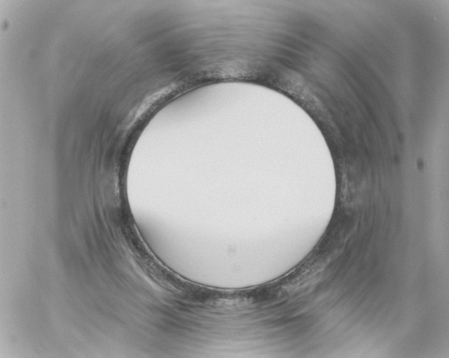 X0000059040251200511041644