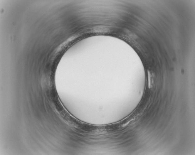 X0000059040252200511041644