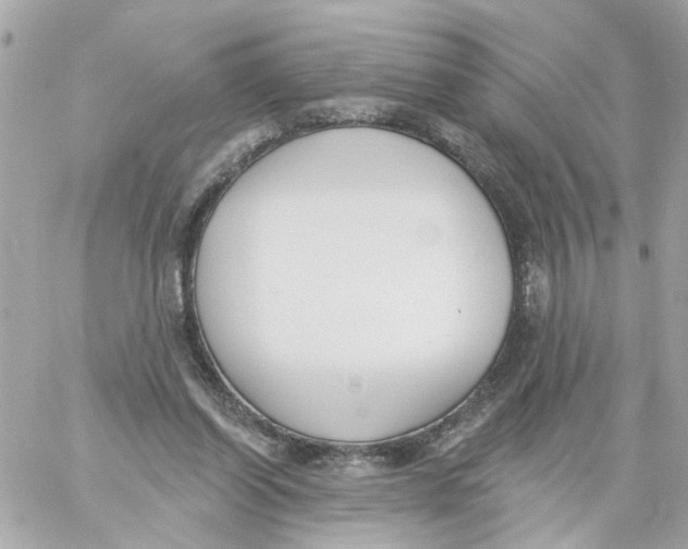 X0000059040254200511041644