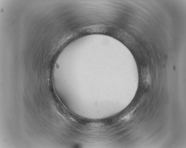 X0000059040255200511041644