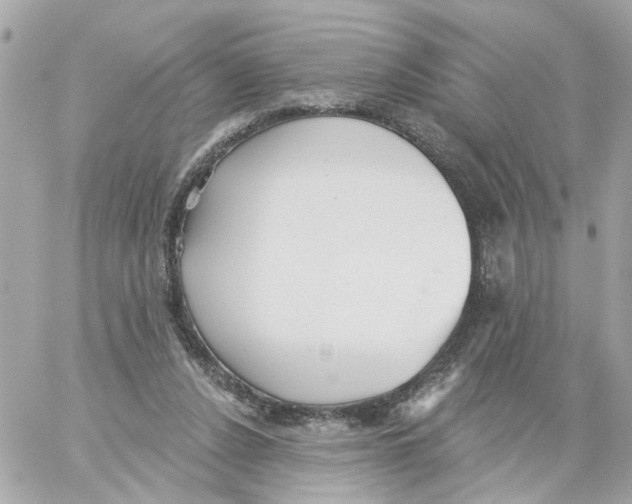 X0000059040256200511041644