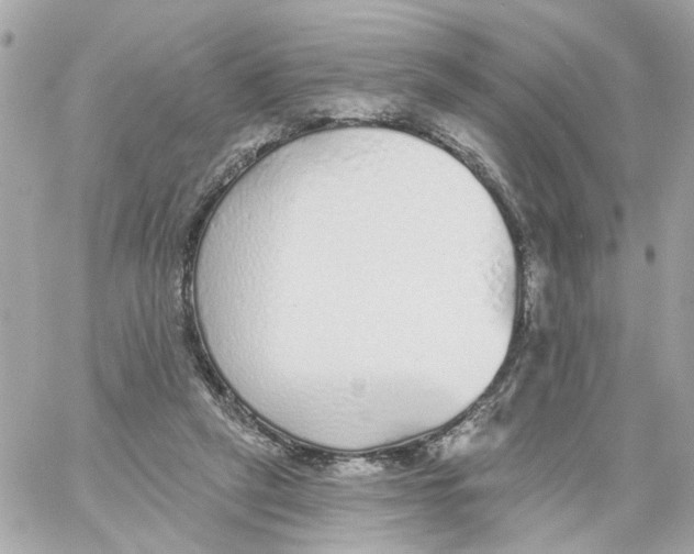 X0000059040257200511041644