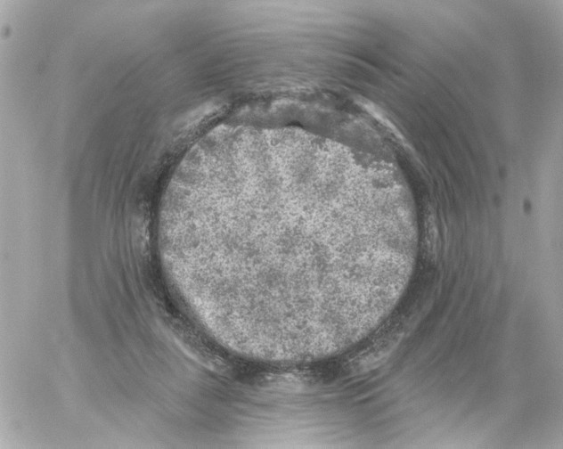 X0000059040259200511041644