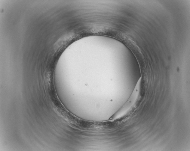 X0000059040260200511041644