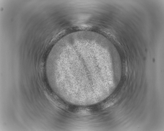 X0000059040263200511041644