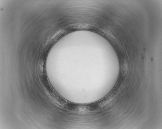 X0000059040264200511041644