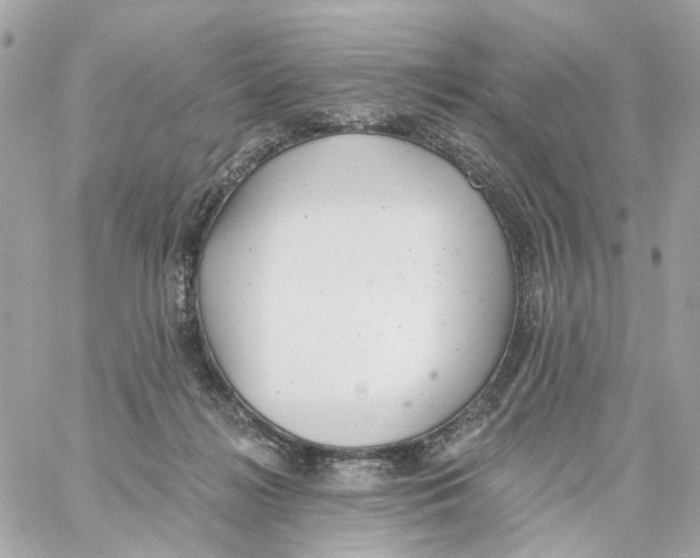 X0000059040268200511041644