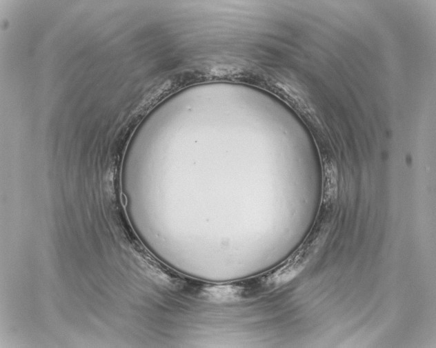 X0000059040269200511041644