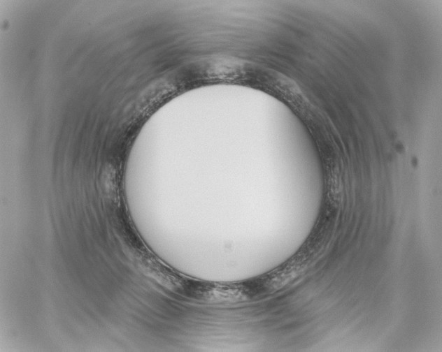 X0000059040270200511041644